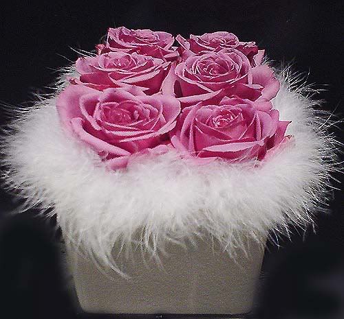 14-1.jpg picture by marinanisp