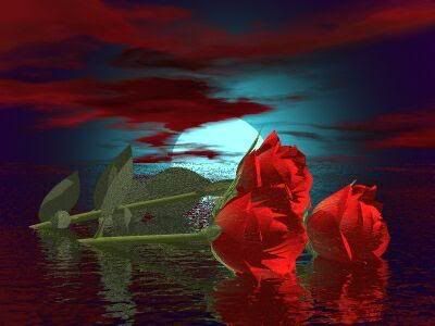 19.jpg picture by marinanisp