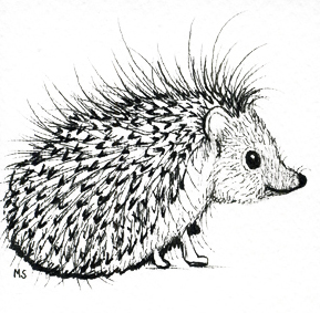 Hedgehog