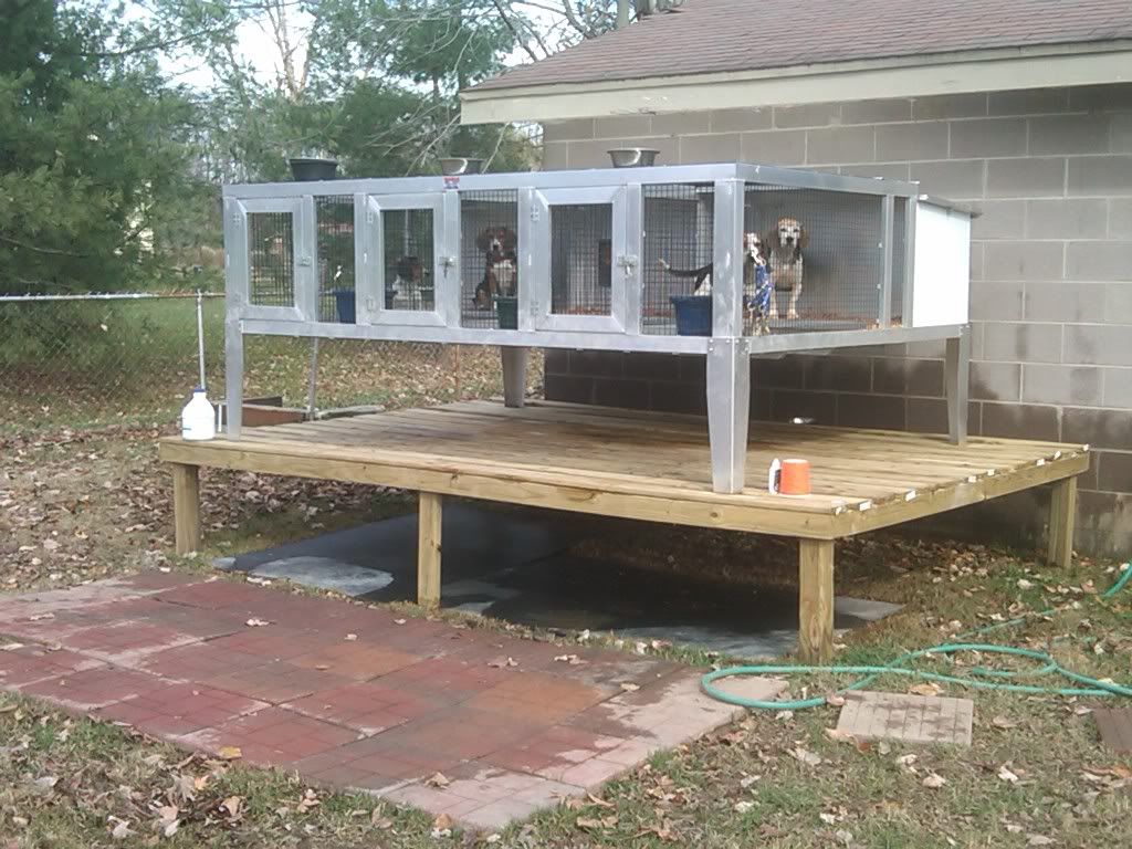 Above ground or concrete kennel??? The American Beagler Forum
