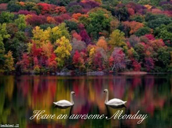 Fall Monday Pictures, Images and Photos