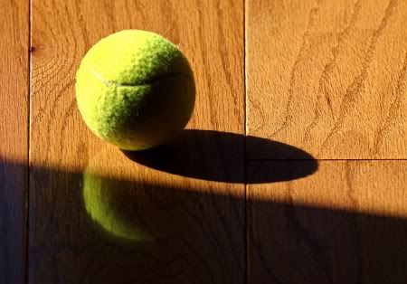 The Loneliest Tennis Ball, Oh so lonely