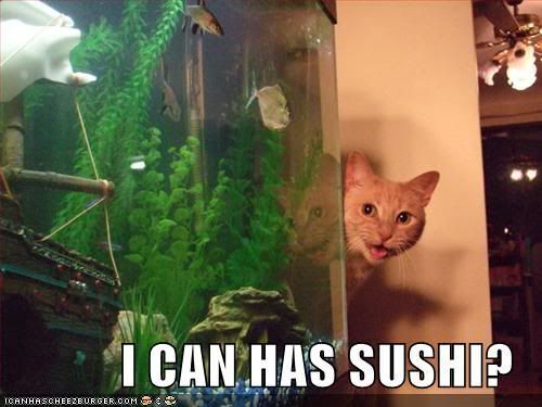 128340036500468750icanhassush.jpg