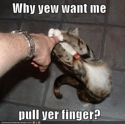 128340996045781250whyyewwantme.jpg