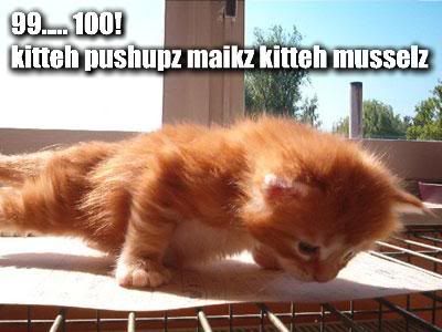99-100-kitteh-pushupz-maikz-kitteh-.jpg
