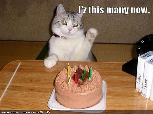 funny-pictures-birthday-cat-can--2.jpg