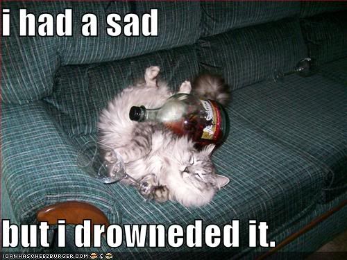 funny-pictures-passed-out-alcoholic.jpg