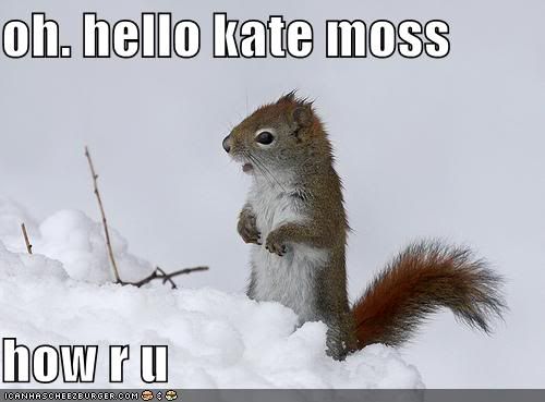 funny-pictures-squirrel-snow-kate-m.jpg