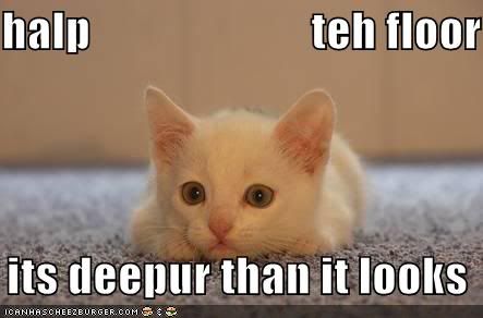 funny-pictures-white-kitten-deep-fl.jpg