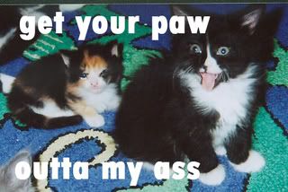cats9o.jpg