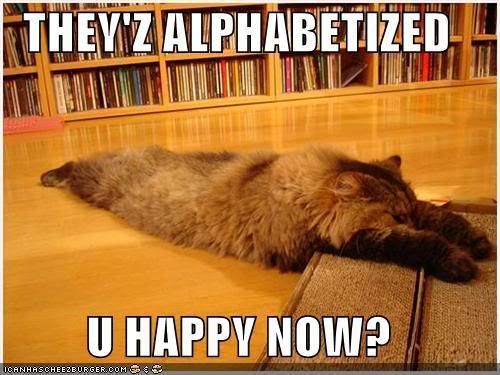 funny-pictures-exhausted-cat-alphab.jpg