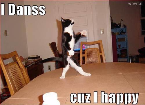 funnypicturesdancingcatpg3.jpg