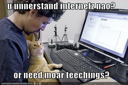funny-pictures-cat-teaches-you-the-.jpg