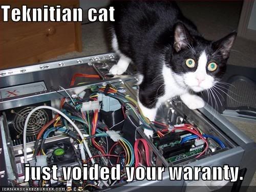 funny-pictures-never-trust-a-feline.jpg