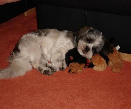 patch2sleepyewok.jpg