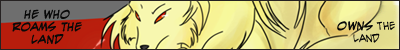 Pokemon Mystery Dungeon :: Team Boogers