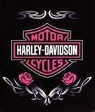 harley davidson Pictures, Images and Photos