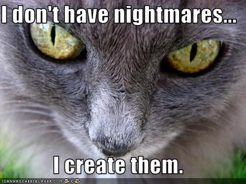 Cat Nightmares Pictures, Images and Photos