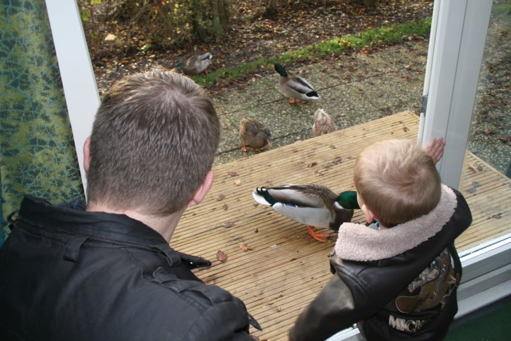 IMG_7433.jpg