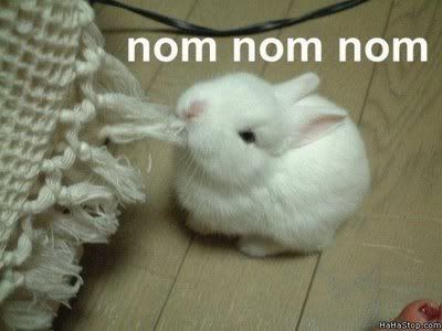 Nom_Nom_Nom_Bunny.jpg