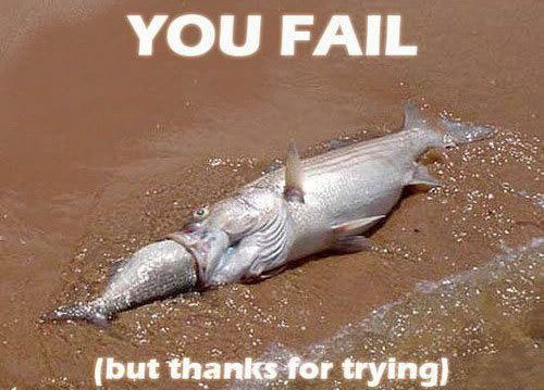fail.jpg
