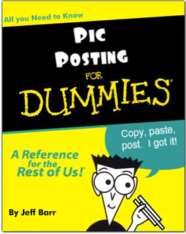 book_covers_for_dummies.png?t=1219259282