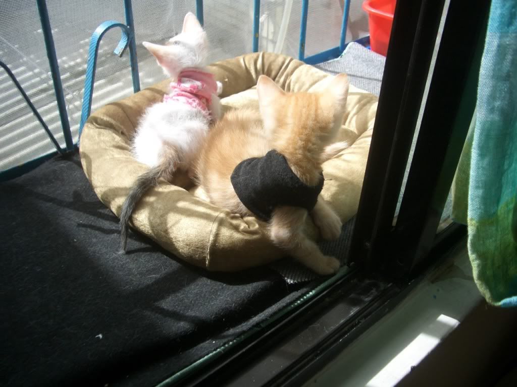 圖檔