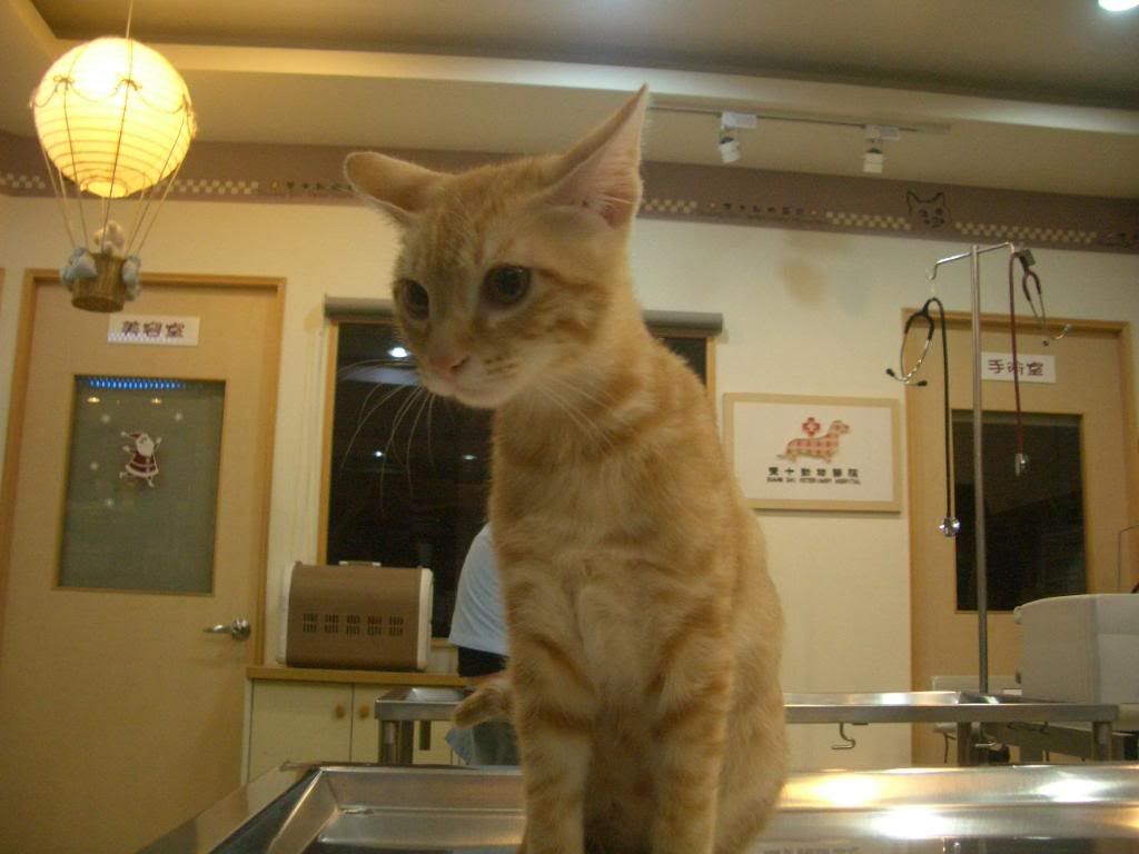 圖檔