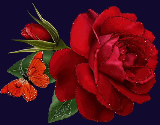 Flowers Butterfly Red Rose