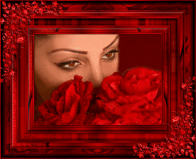 flowers eyes red rose