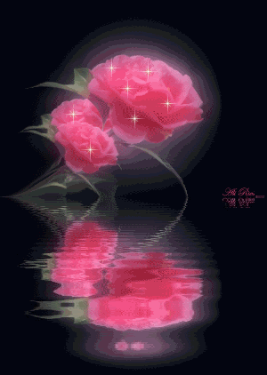 9_flowers_pink_rose_reflection.gif