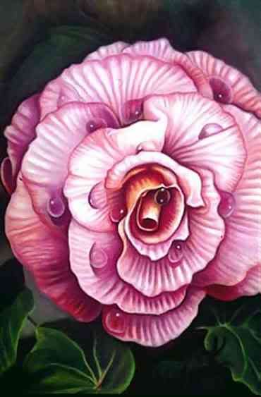 Flower Rose Art in Sexy Wallpaper