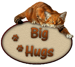 hugs_cat_paws_orange.gif