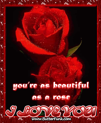 Love Pictures on Love Red Rose Beautiful Image Code   Love Red Rose Beautiful Comment