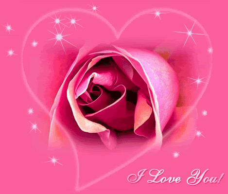 Heart Pictures Love on Love Pink Rose Heart Image Code   Love Pink Rose Heart Comment