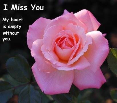 miss you heart. miss you heart.