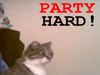 party_party_hard_cat.gif