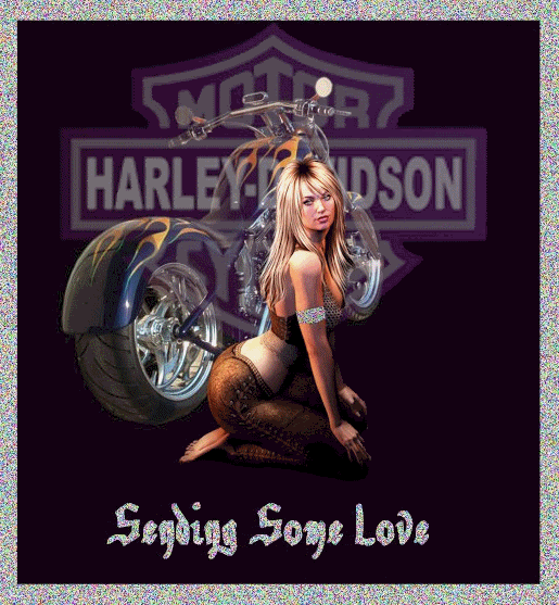 Harley-Davidson Comments and Graphics