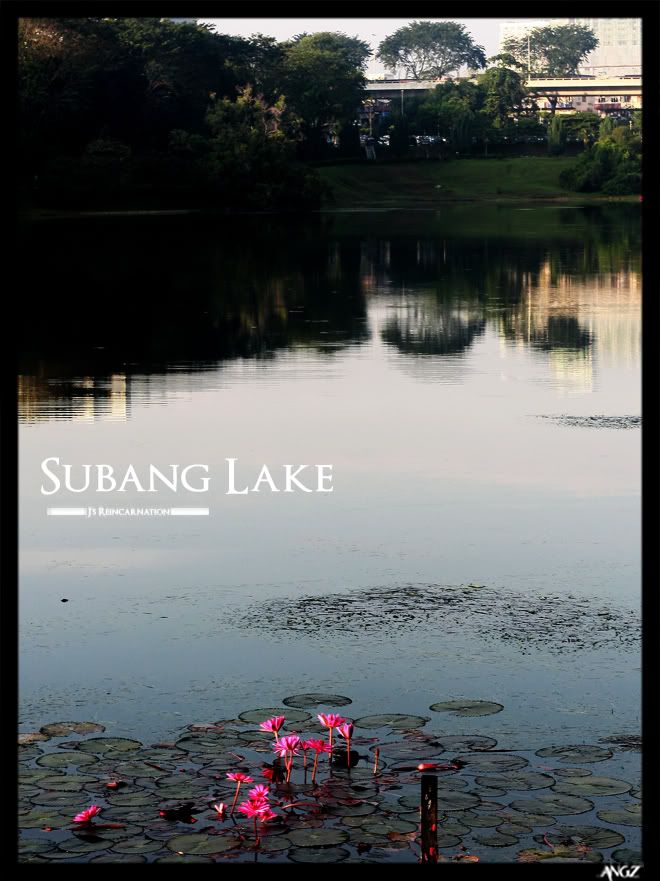 Subang Lake 09