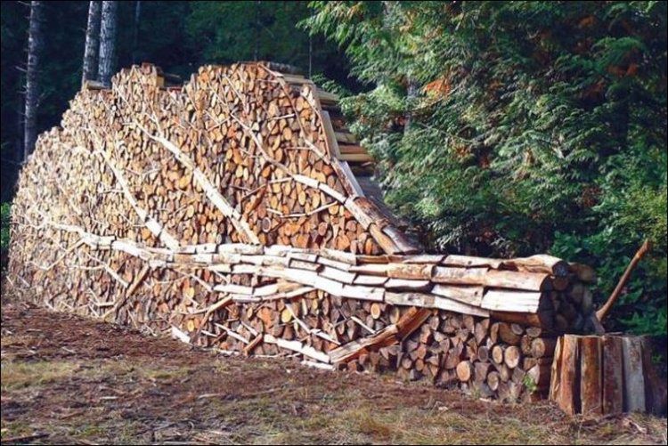 image-102.jpg