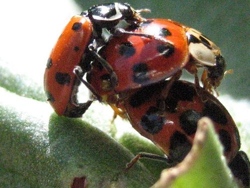 image-46.jpg