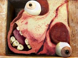 image-58.jpg