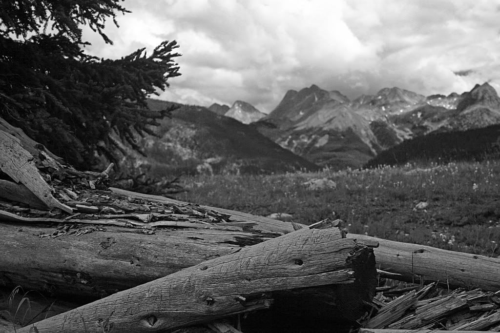 IMAGE: http://i266.photobucket.com/albums/ii262/bigbitt8706/IMG_0645_edited-1.jpg