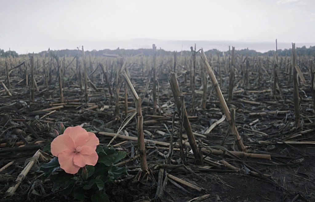 IMAGE: http://i266.photobucket.com/albums/ii262/bigbitt8706/IMG_0704edited12_edited-5.jpg