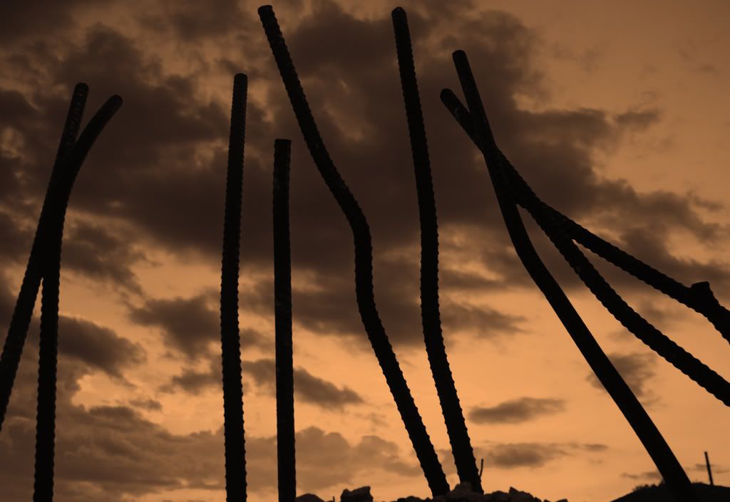 IMAGE: http://i266.photobucket.com/albums/ii262/bigbitt8706/IMG_0849edited2_edited-2.jpg