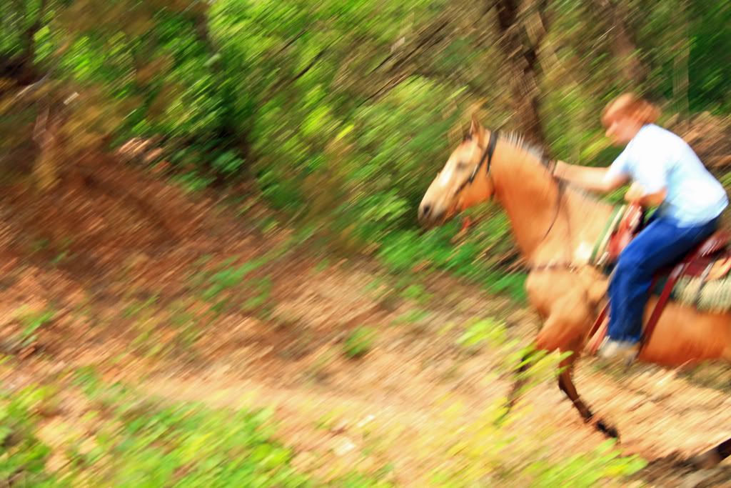 IMAGE: http://i266.photobucket.com/albums/ii262/bigbitt8706/IMG_4800edited1.jpg