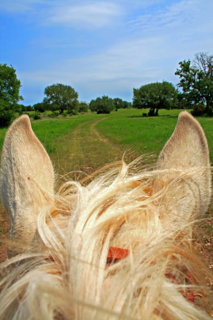 IMAGE: http://i266.photobucket.com/albums/ii262/bigbitt8706/IMG_4816edited2.jpg