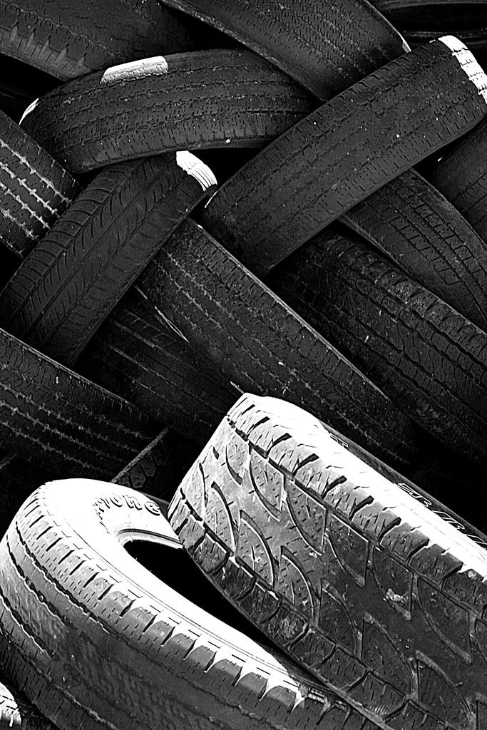 IMAGE: http://i266.photobucket.com/albums/ii262/bigbitt8706/IMG_5860edited1.jpg