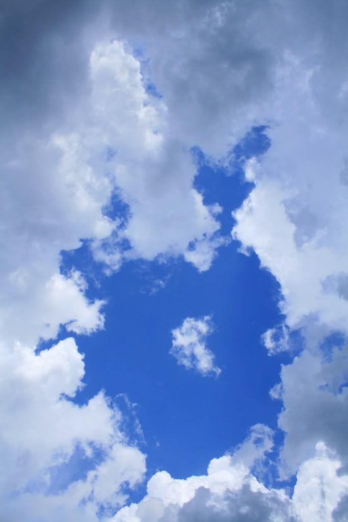 IMAGE: http://i266.photobucket.com/albums/ii262/bigbitt8706/IMG_6284.jpg