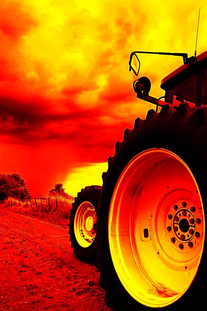 IMAGE: http://i266.photobucket.com/albums/ii262/bigbitt8706/IMG_8948edited1_edited-3.jpg